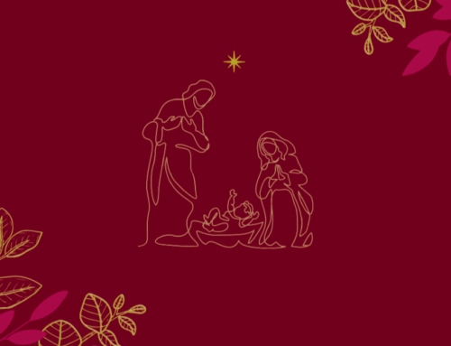 Newsletter de Noël de la FAFCE | Nous vous souhaitons un joyeux Noël ! ✨
