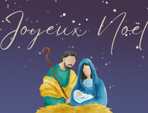 Newsletter de Noël de la FAFCE | Nous vous souhaitons un joyeux Noël ! 🌟