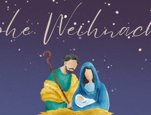 FAFCE Weihnachtsnewsletter | Wir wünschen ihnen ein frohes Weihnachtsfest! 🌟