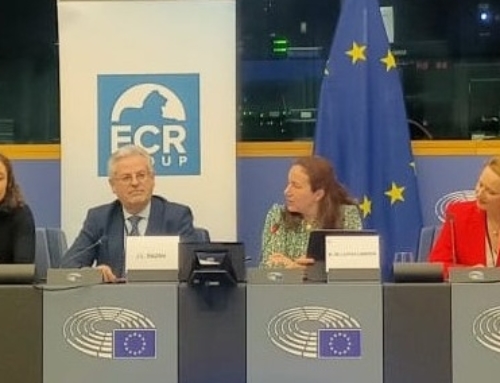 This week at the European Parliament: cross-border recognition of parenthood and EU action on violence against women