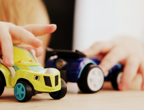PRESS RELEASE | The dangers of a “European parenthood certificate”