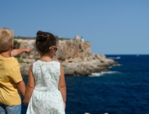 FAFCE contributes to the public consultation on the 2023 Strategic Foresight Report