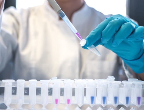 PRESS RELEASE I The European Parliament favours eugenics