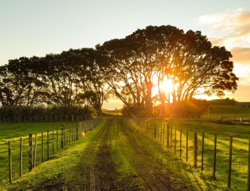 FAFCE welcomes conclusions on a long-term vision for the EU’s rural areas approved by the European Council