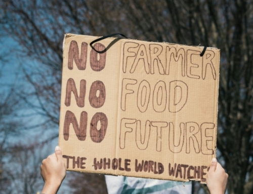 OPINION ARTICLE: Recovering Europe’s ‘popular spirit’