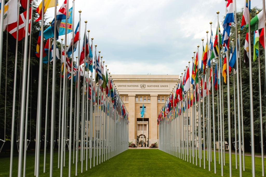 FAFCE Comment on UN Treaty on Cybercrime - FAFCE