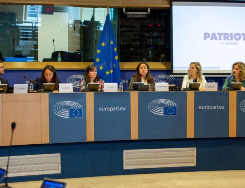FAFCE’s intervention at the European Parliament on Child exposure to pornography