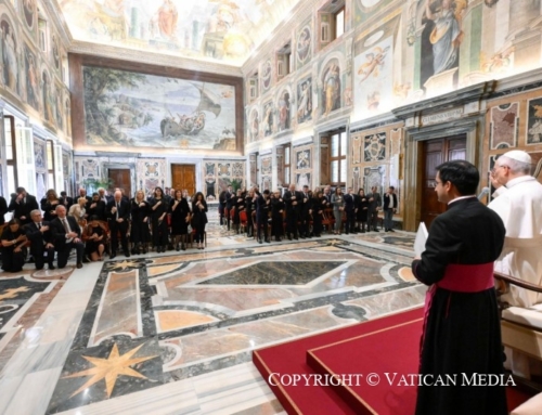 Pope Leo XIV notes the competence of FAFCE during an audience with MEPs